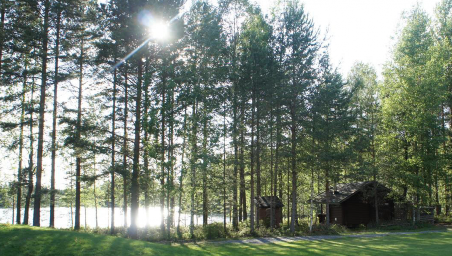 Finnland - Ruhe, Wald