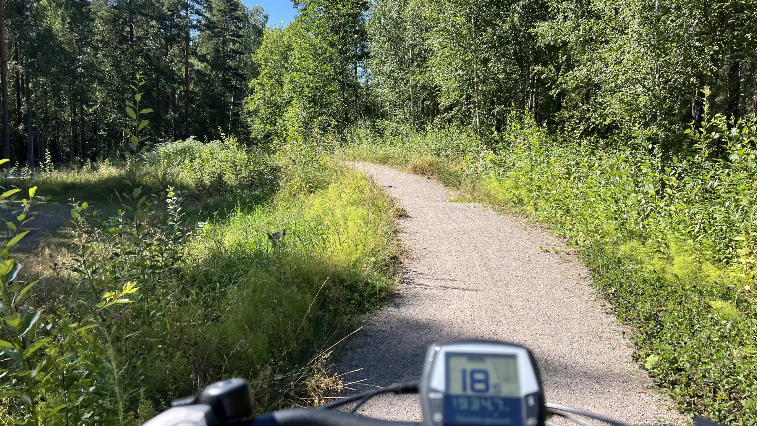 Fahrrad in Schweden