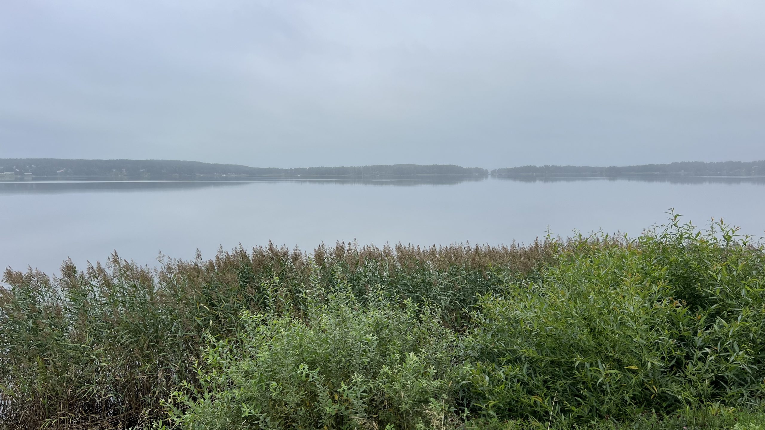 Nebel am Morgen Schweden