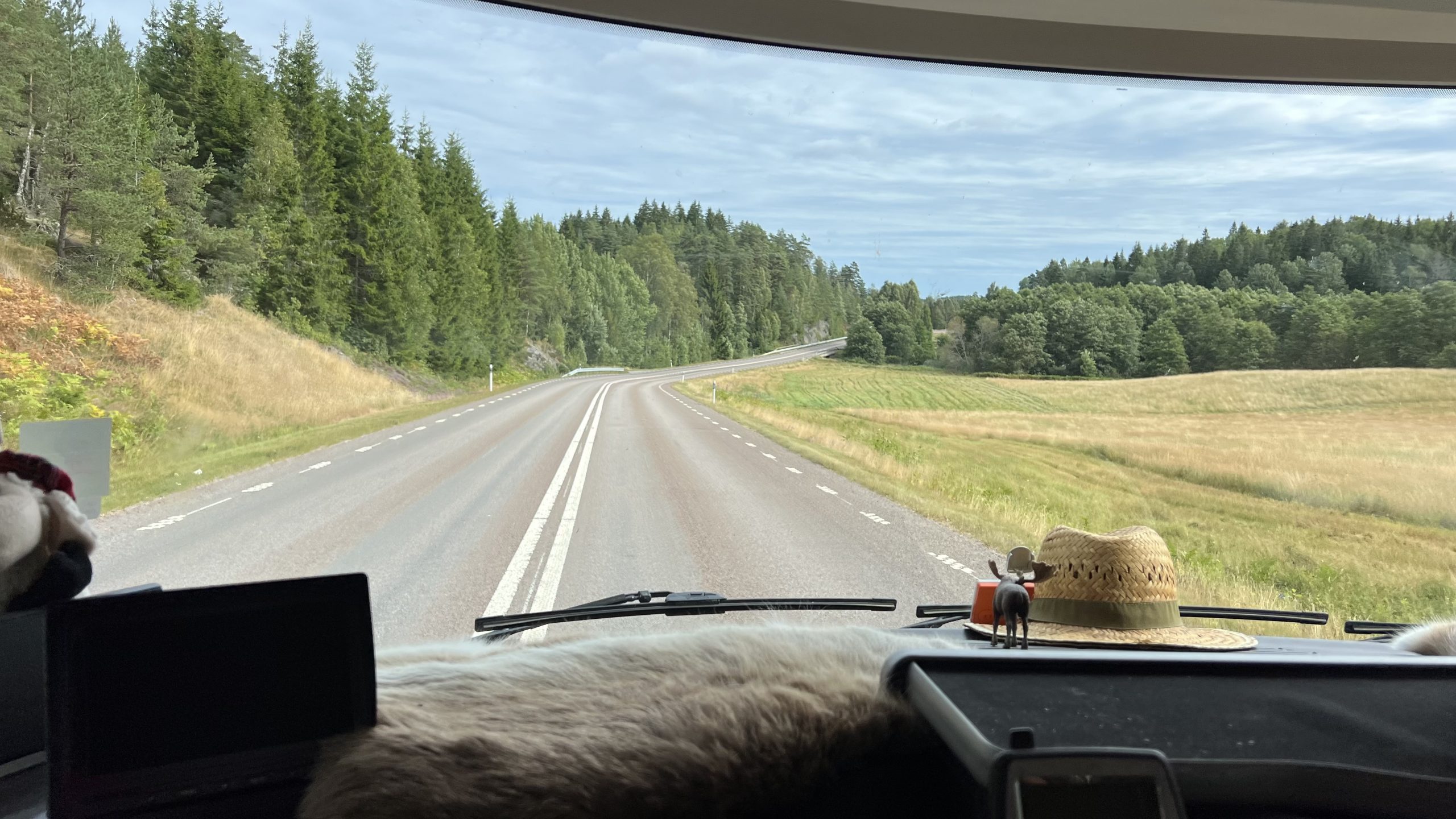 in Schweden mit dem Womo unterwegs
