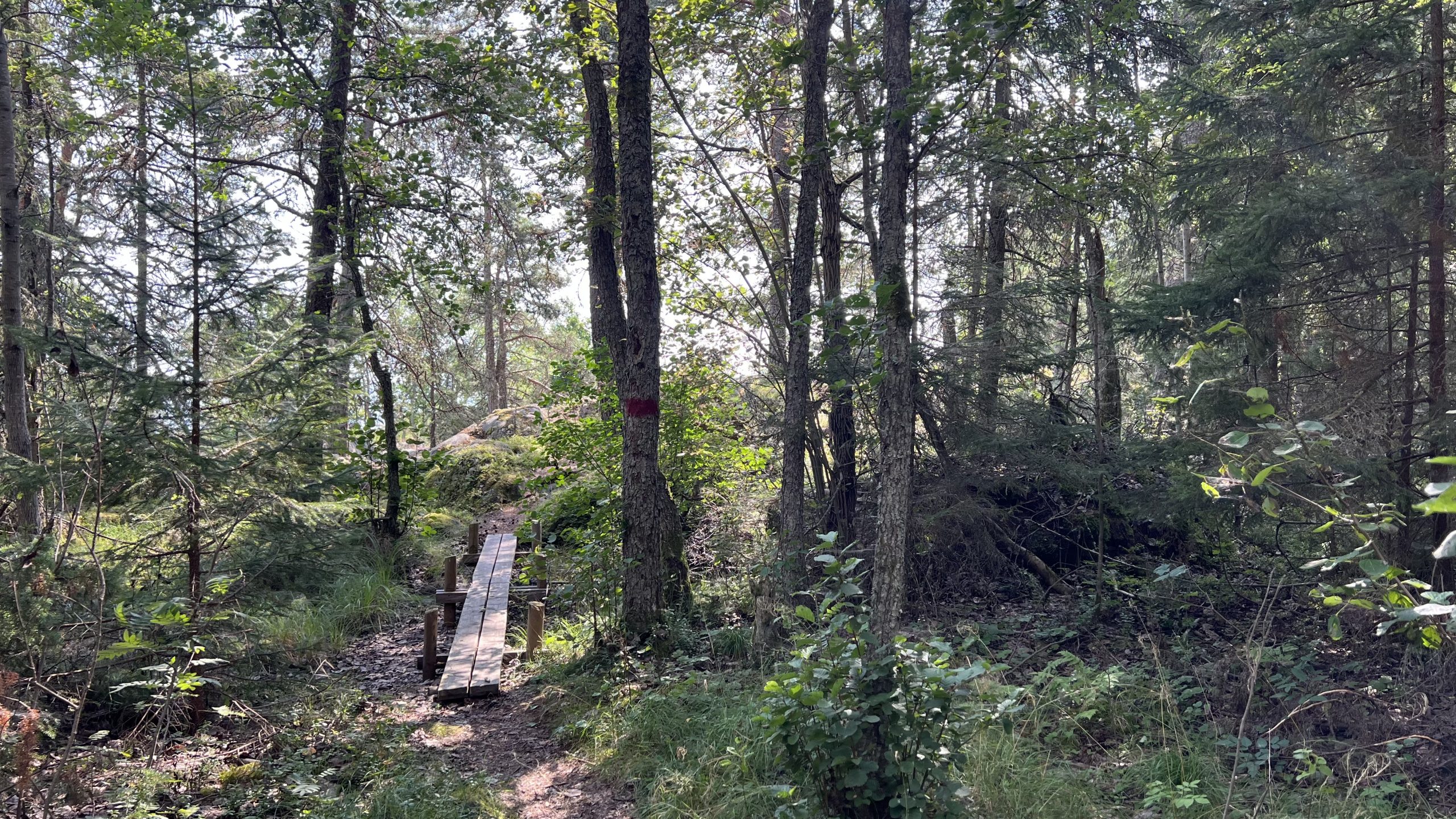 Schwedens Natur wandern