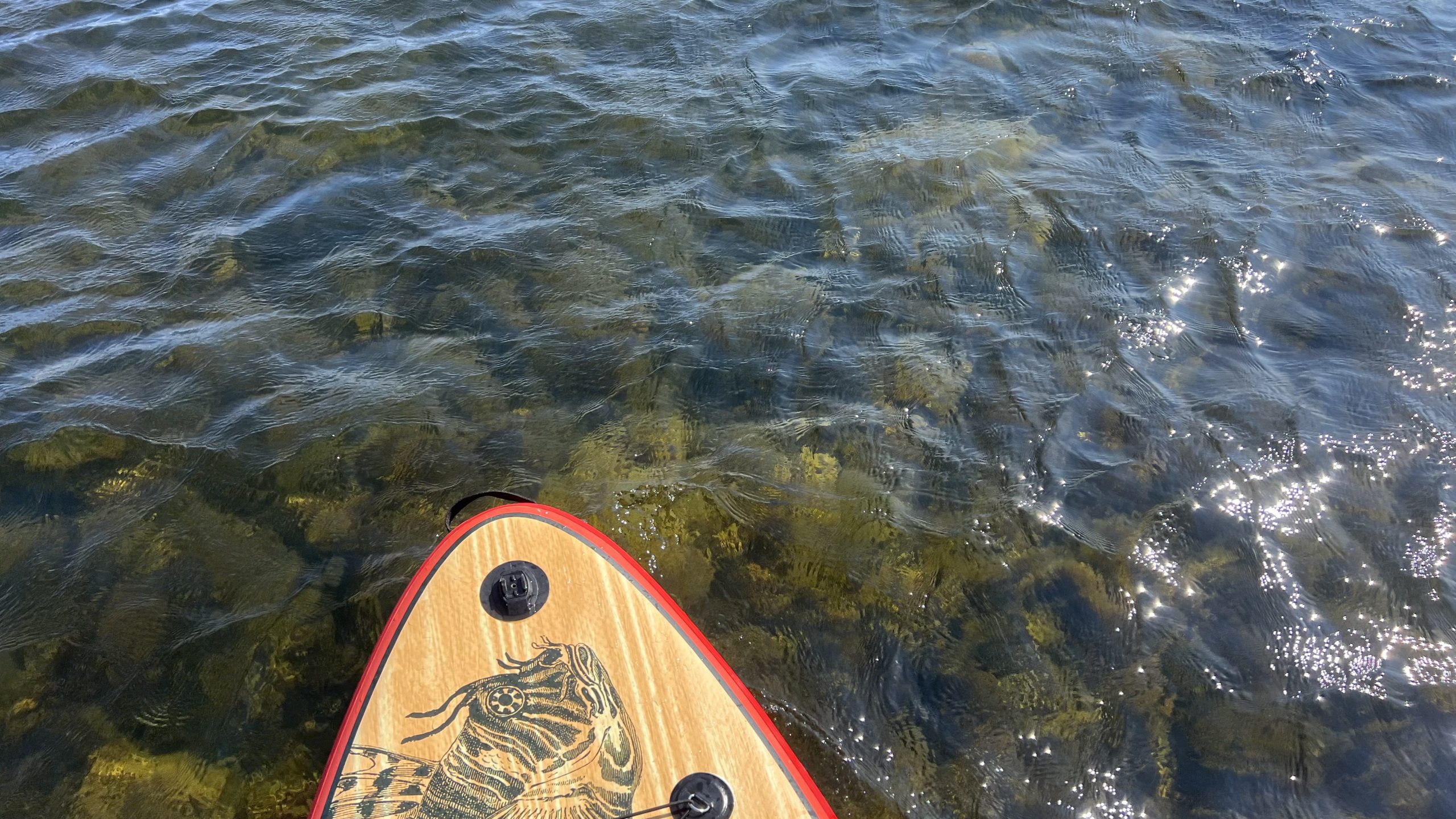 mit dem SUP auf Öland