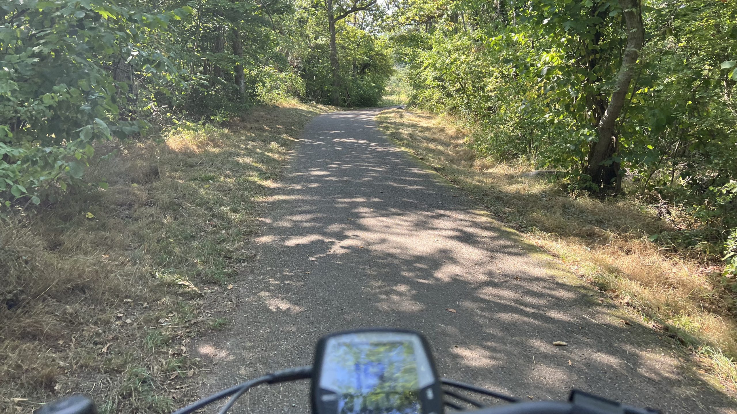 mit dem Fahrrad auf Öland
