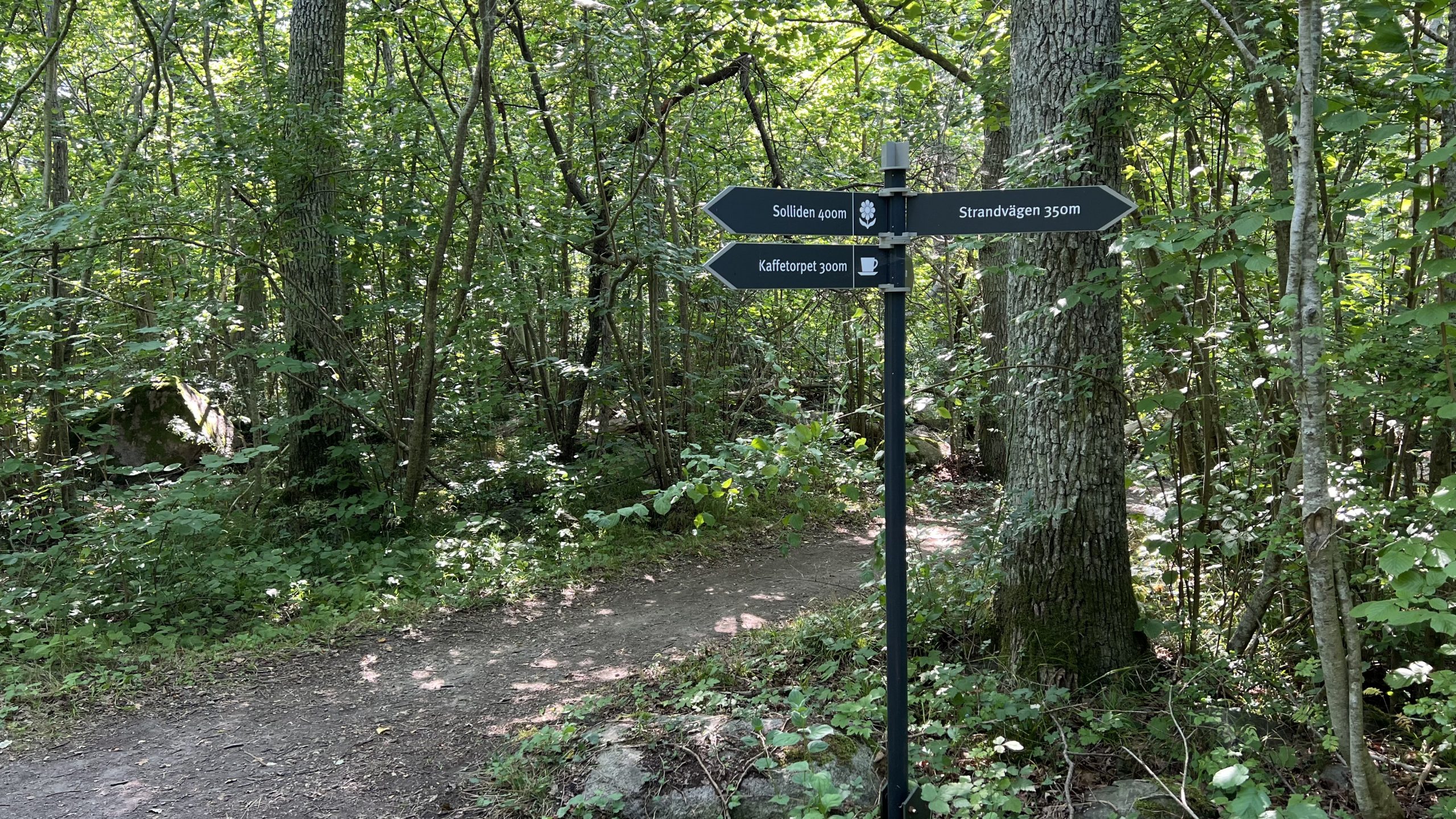 mit dem Rad durch den Wald