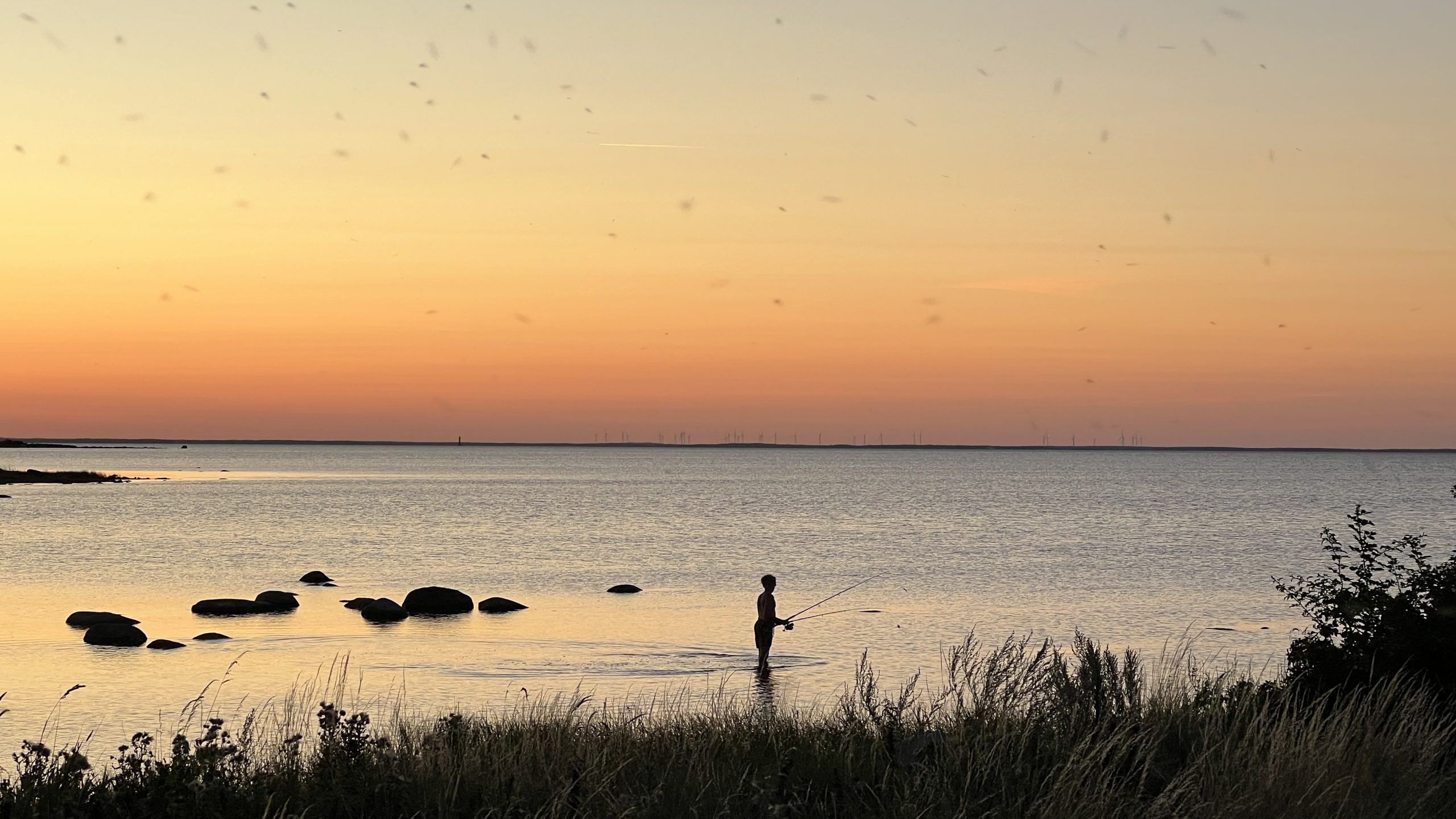 ein Abend auf Öland, Schweden