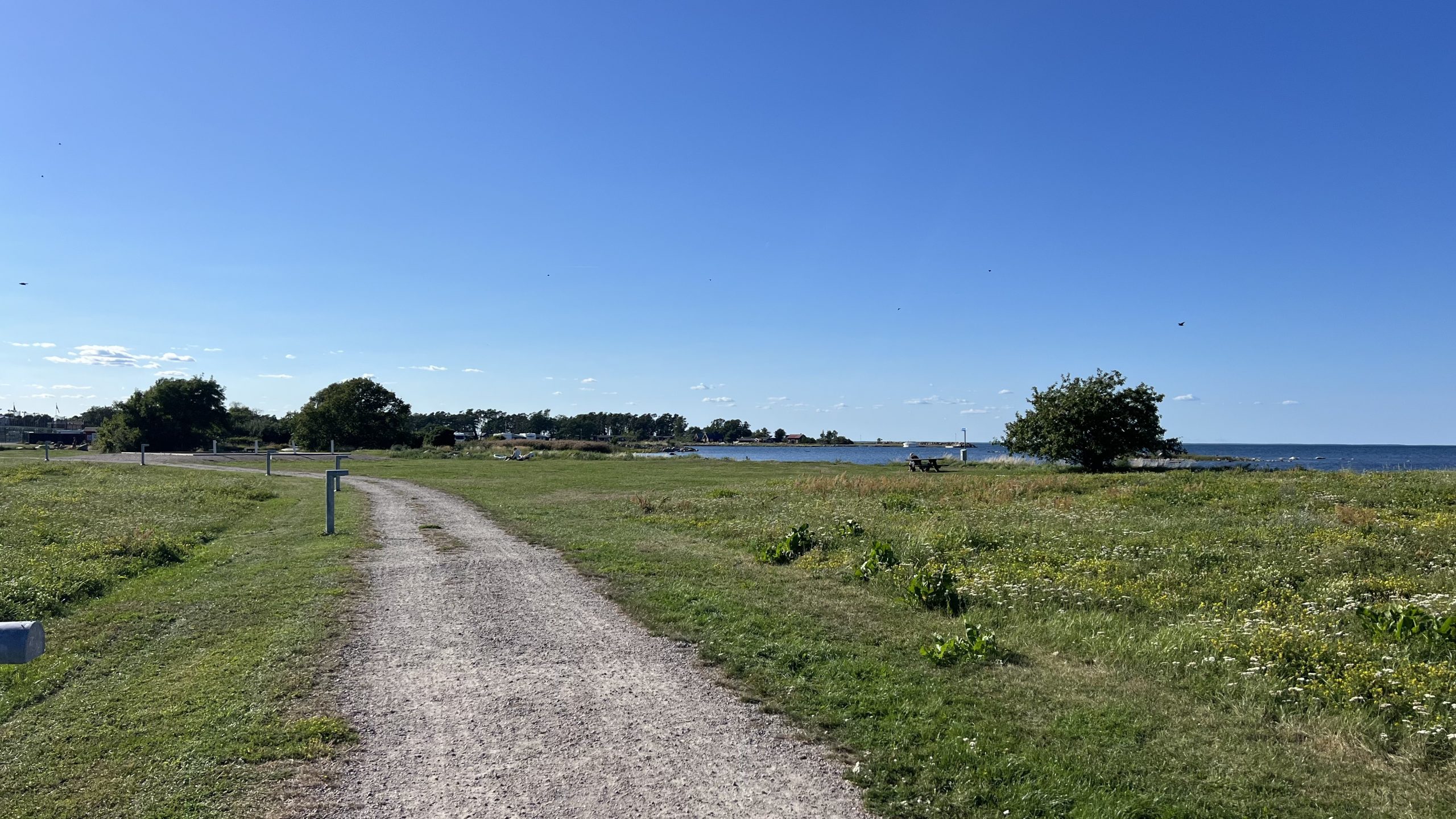 unterwegs nach Borgholm