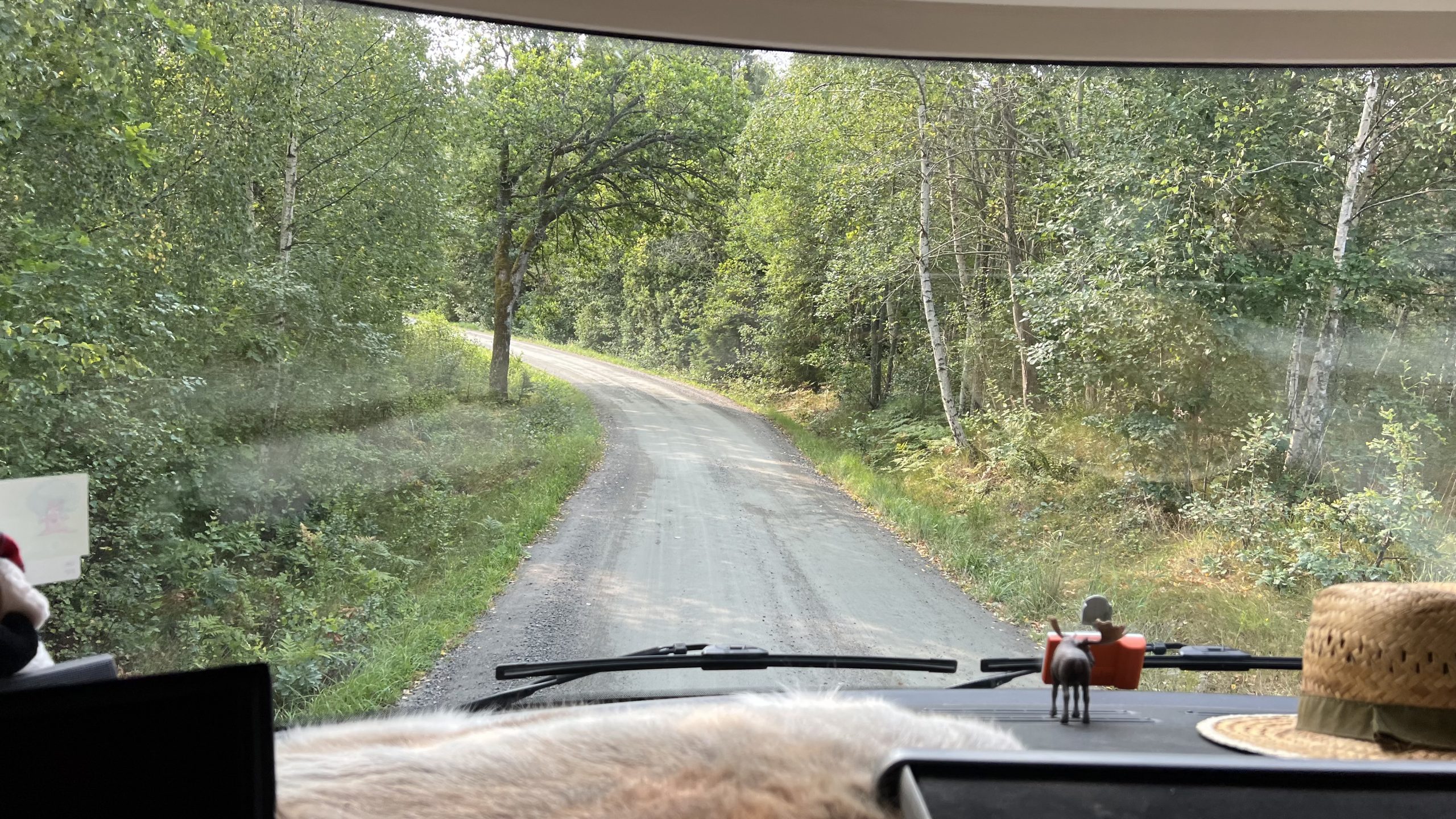 mit dem Wohnmobil in Schweden