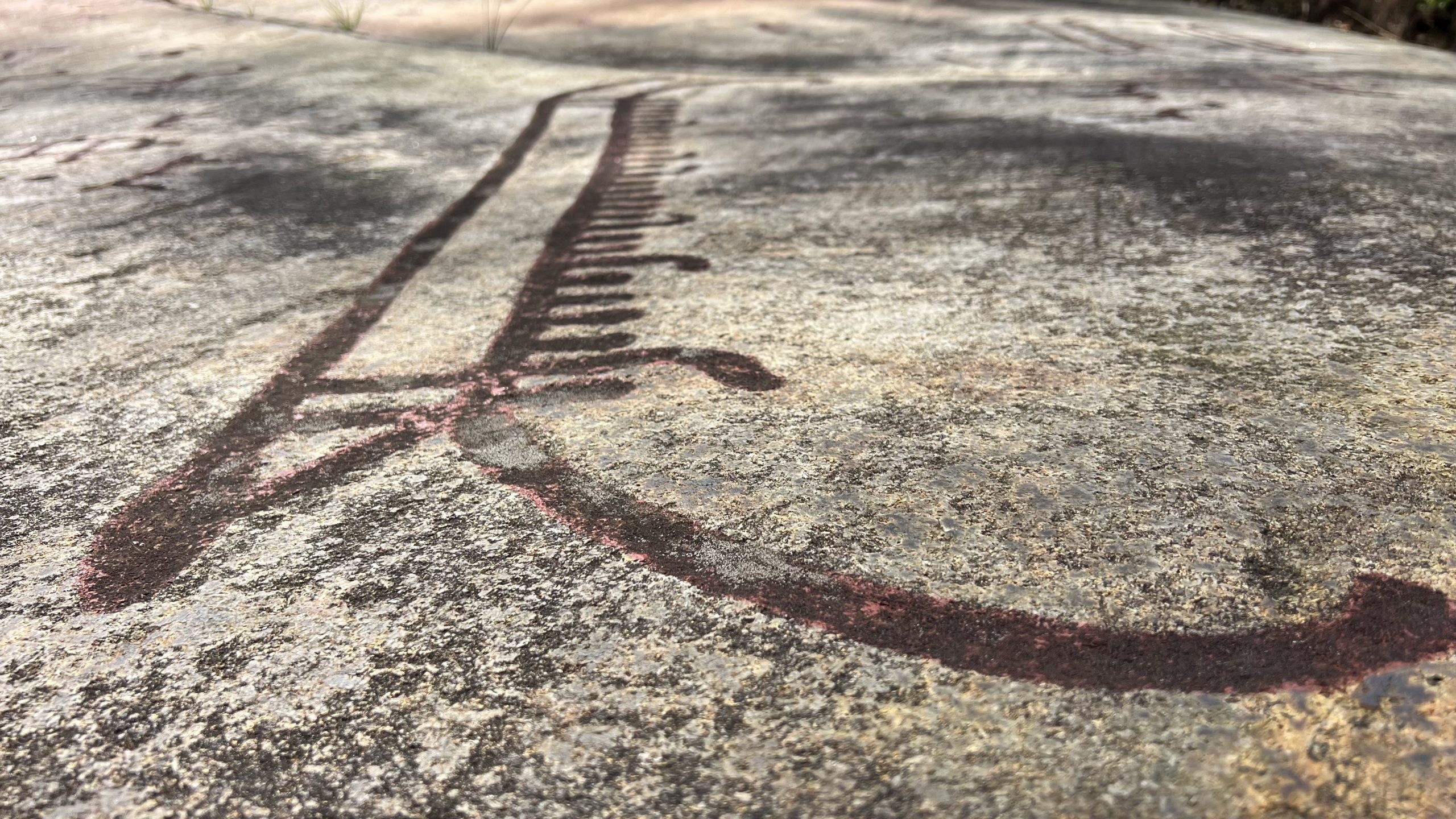 Felszeichnungen in Tanum