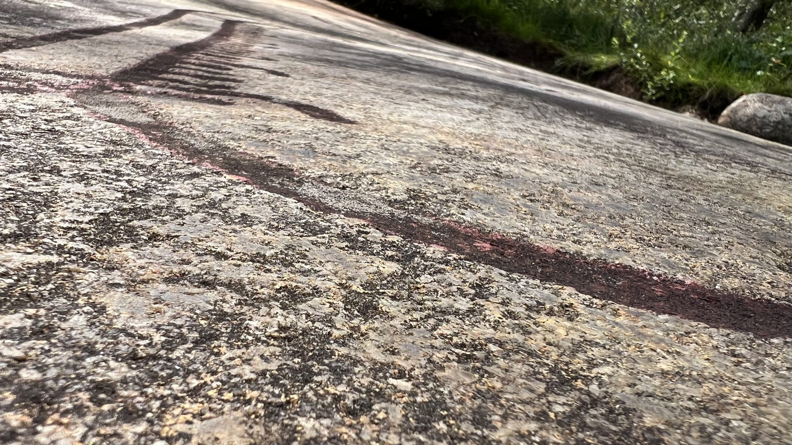 Felszeichnungen in Tanum