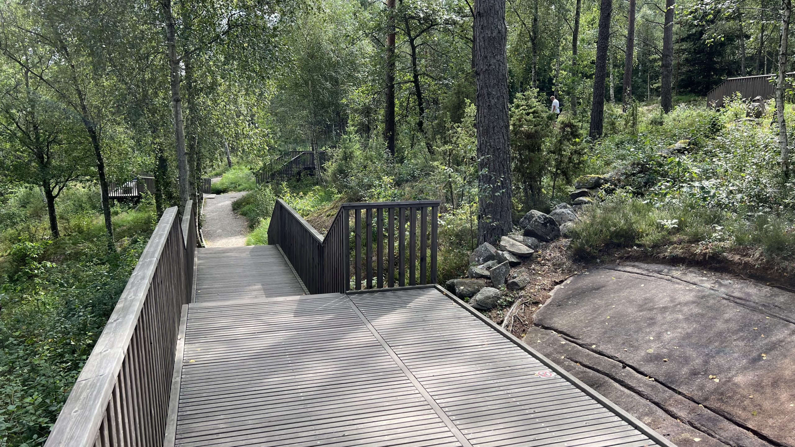 Anlage der Felszeichnungen