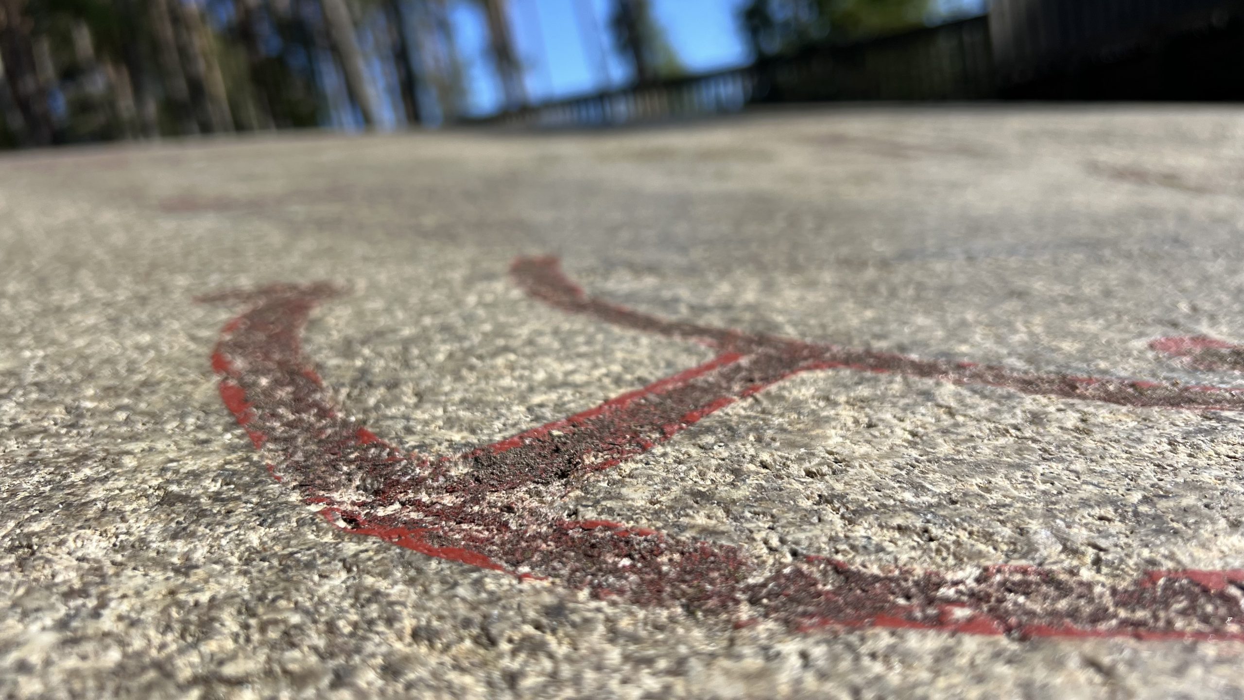 Felszeichnungen Tanum, Schweden