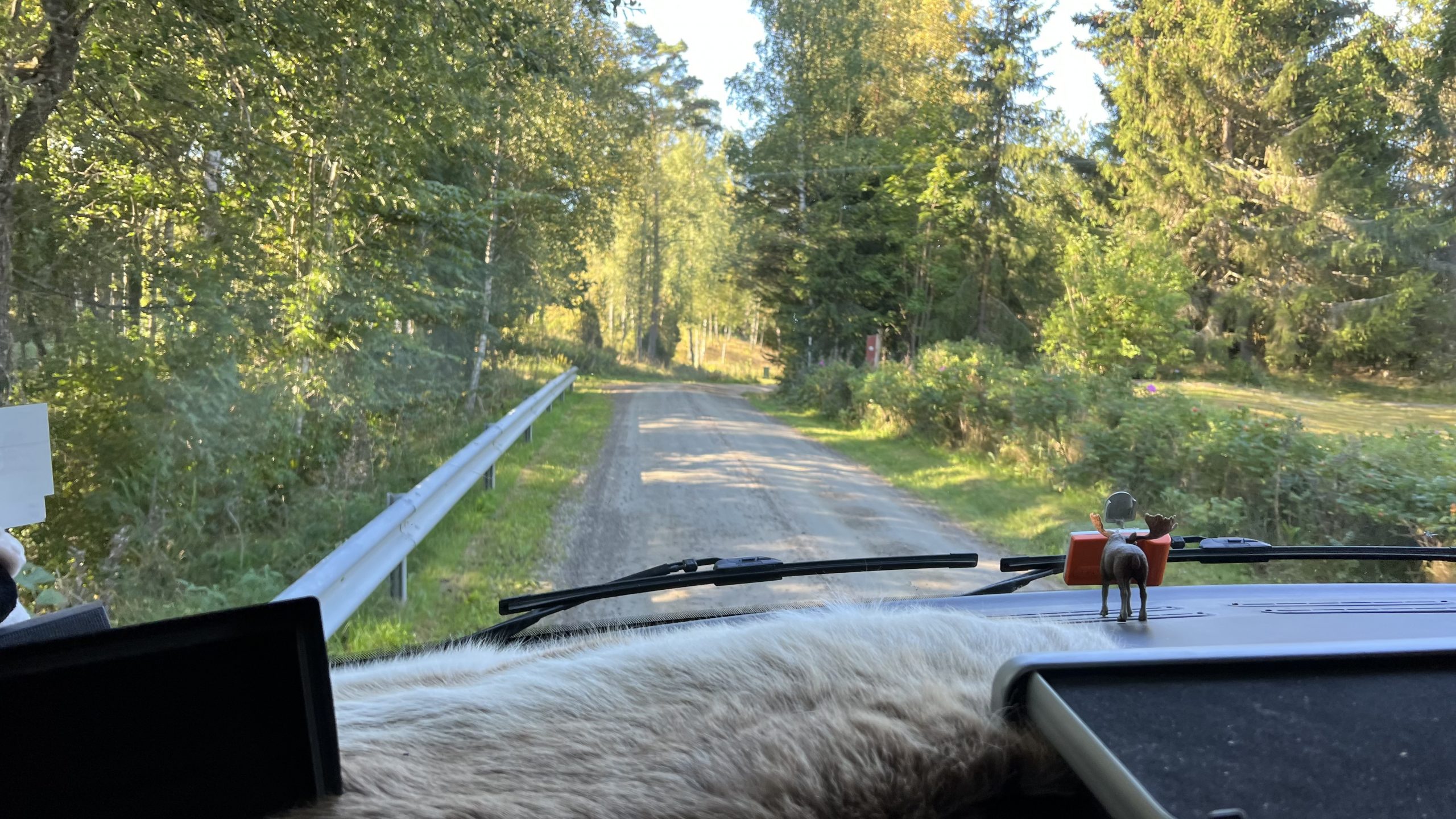 mit dem Wohnmobil auf Schwedens Straßen