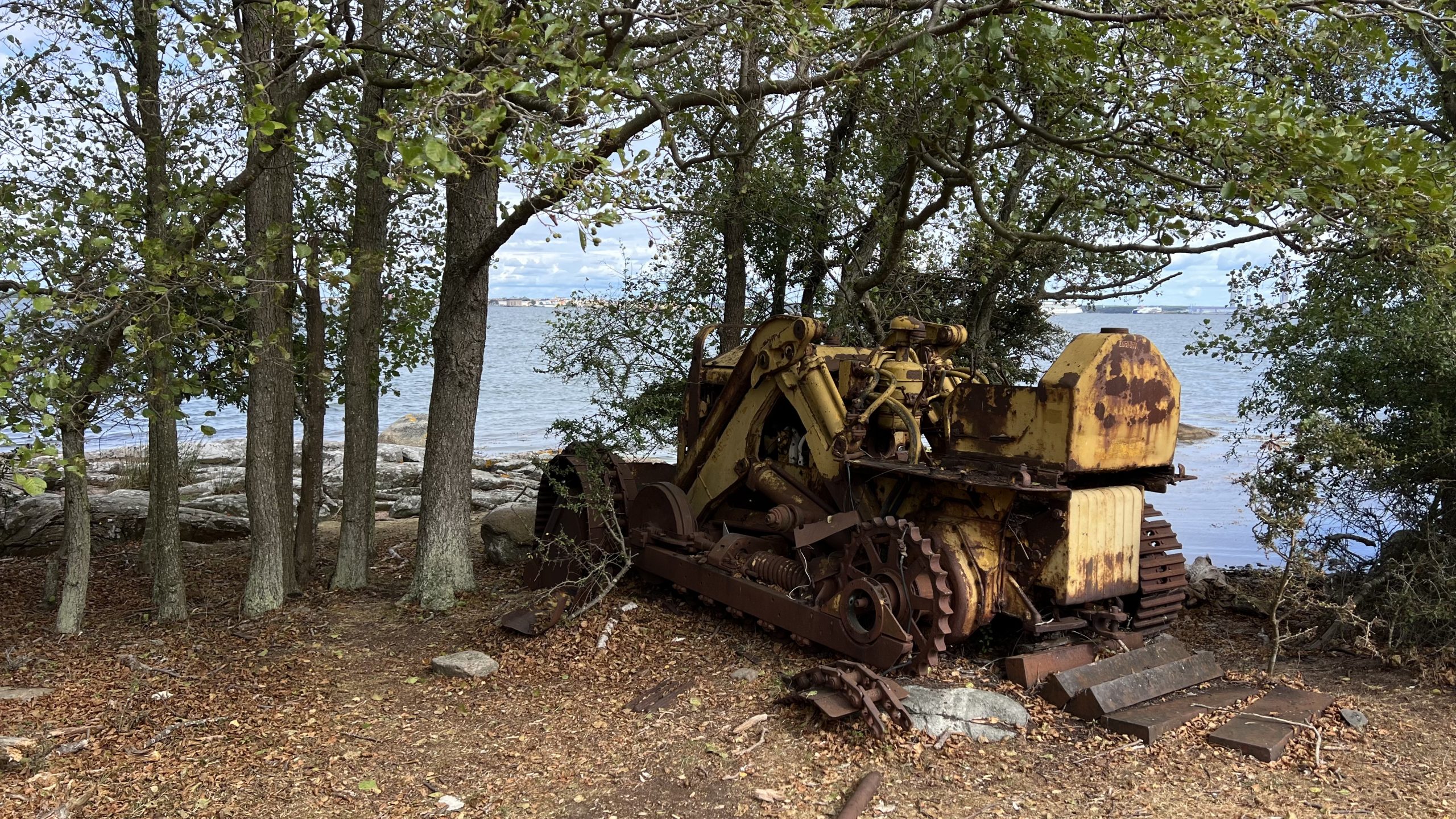 Altes im Wald, Schweden