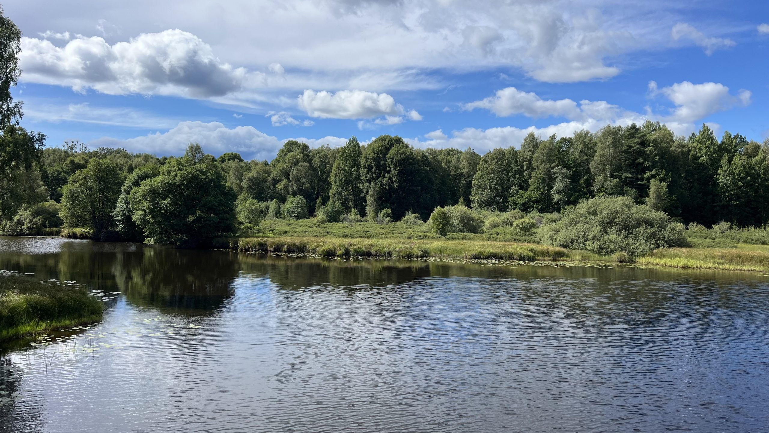 mit dem E-Bike unterwegs in Schwedens Wäldern