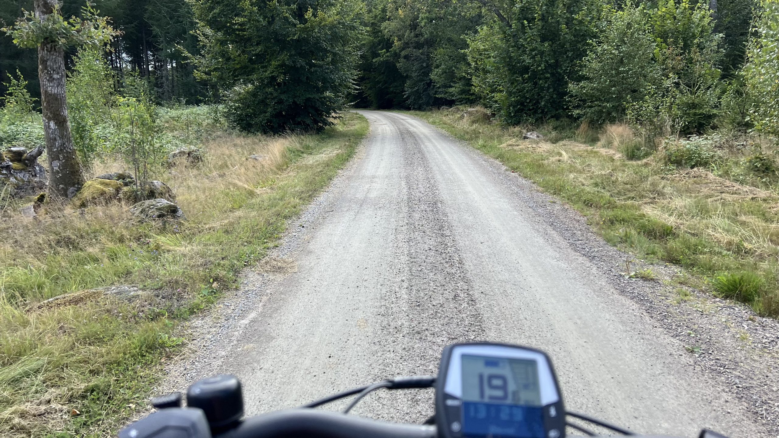 mit dem E-Bike unterwegs in Schwedens Wäldern