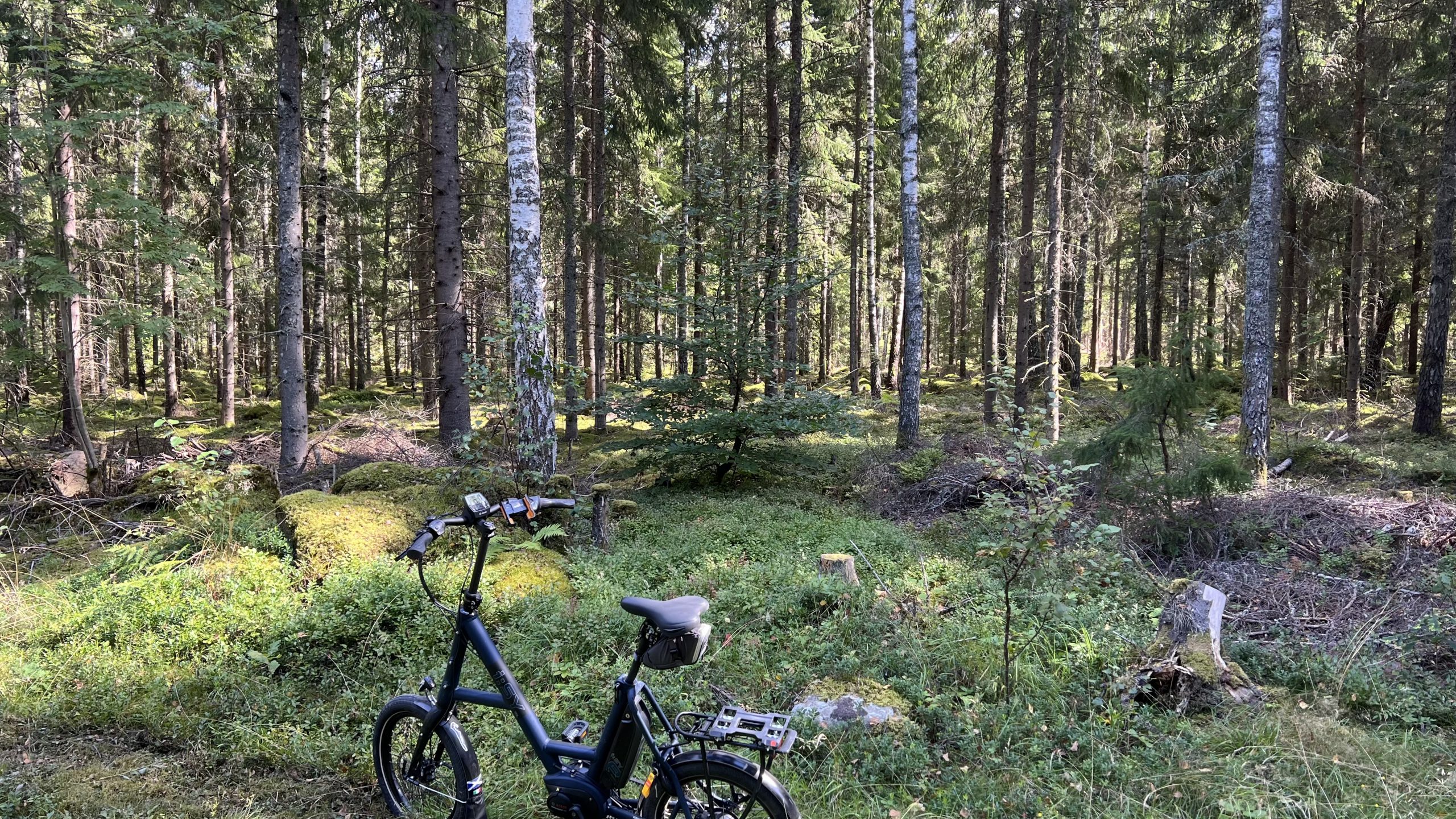 mit dem E-Bike unterwegs in Schwedens Wäldern