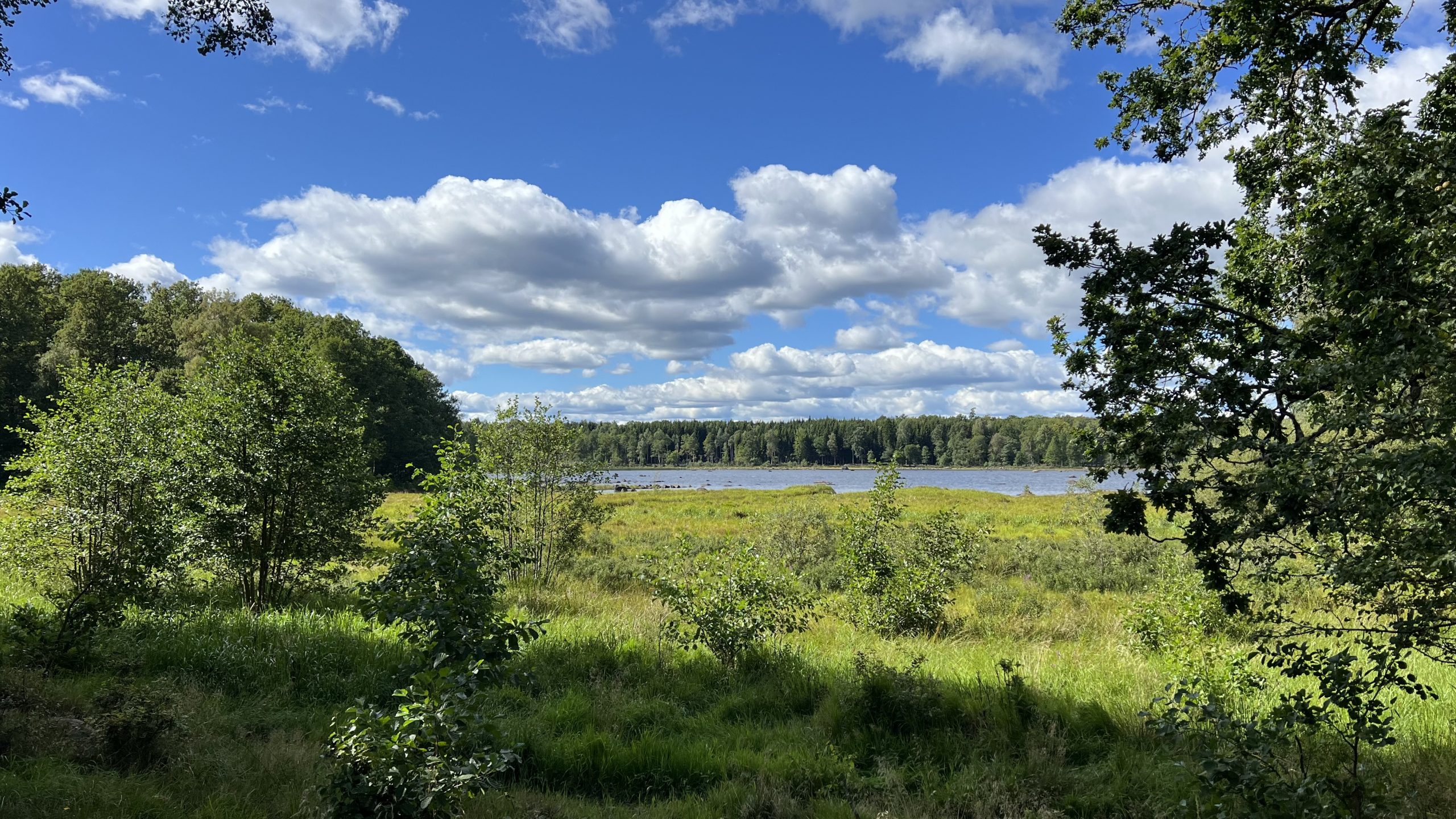 mit dem E-Bike unterwegs in Schwedens Natur