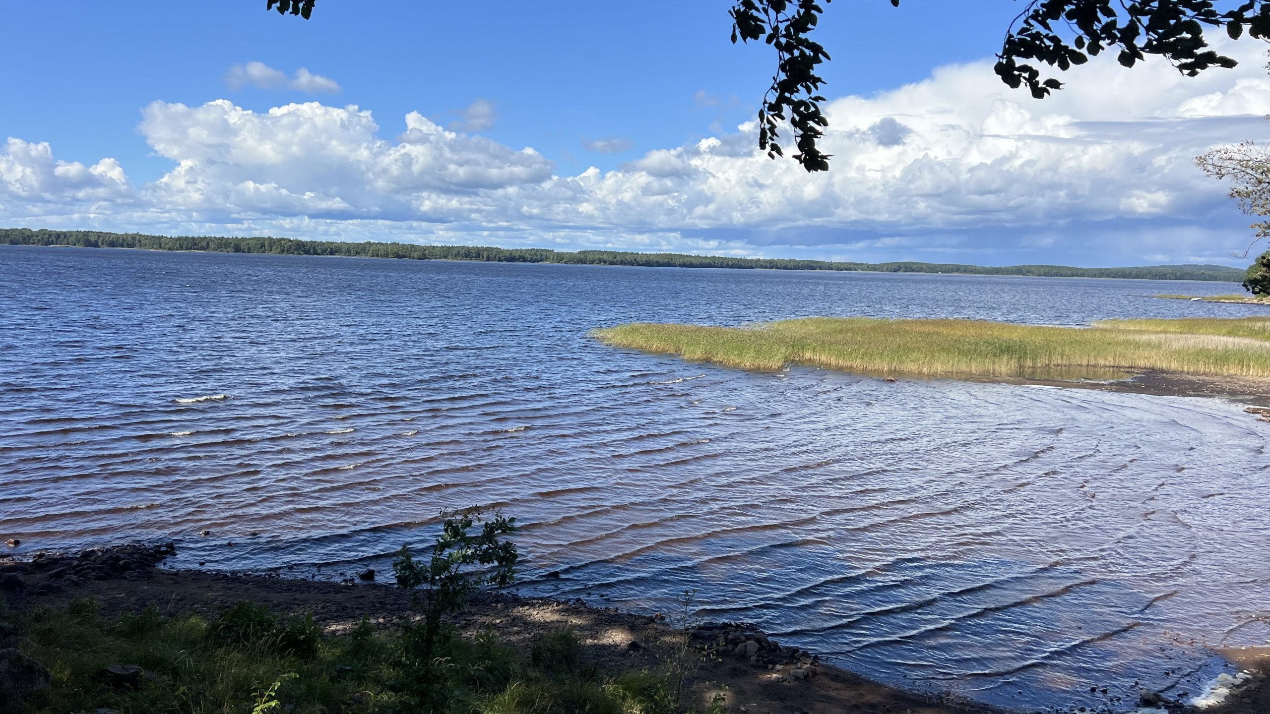 Ställplats Skeda Strand in Schweden