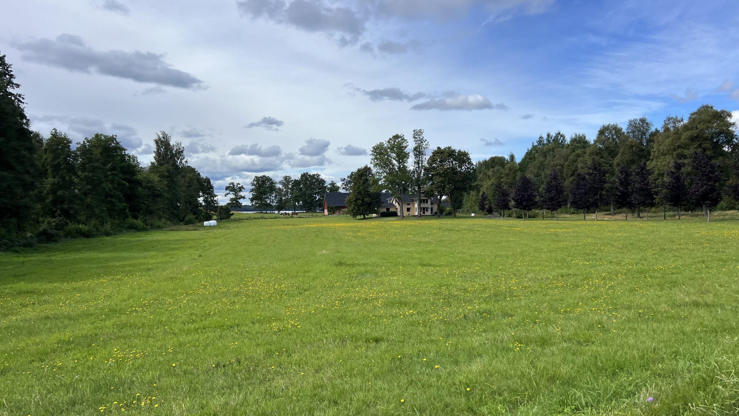 um den Stellplatz herum, Schweden