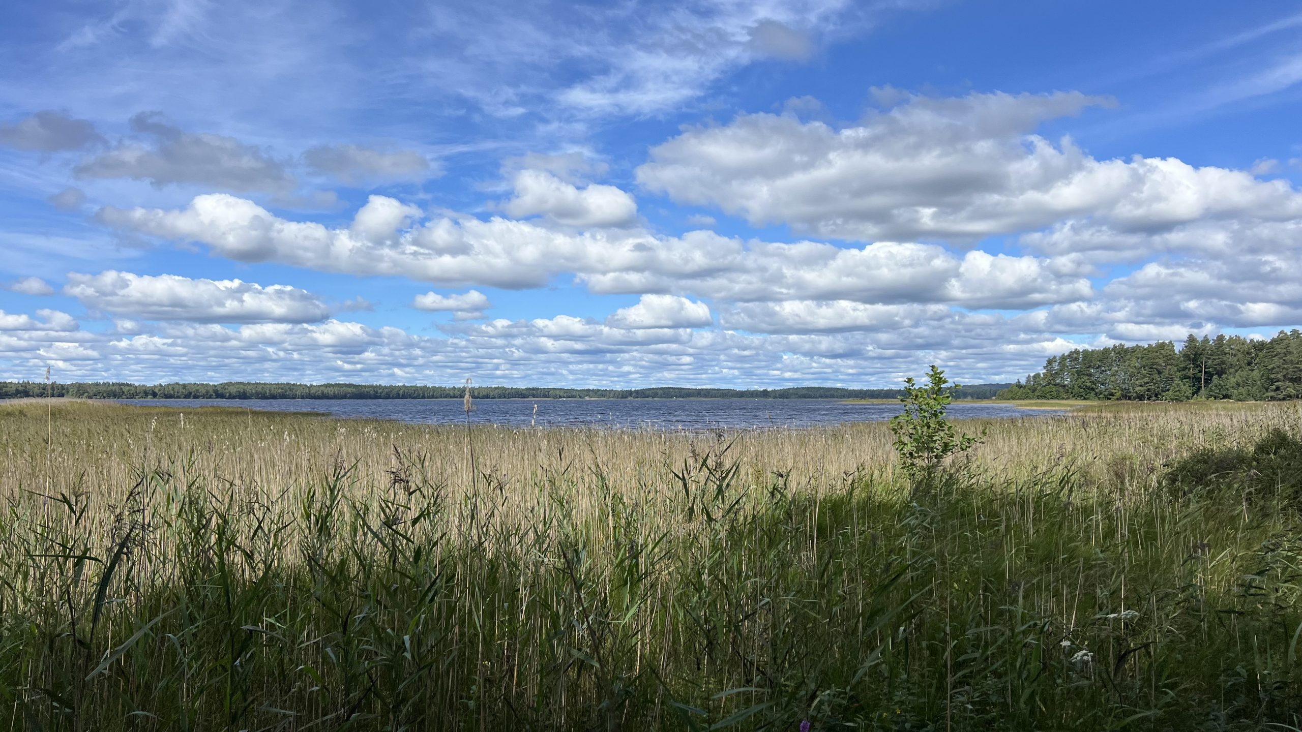 um den Stellplatz herum, Schweden