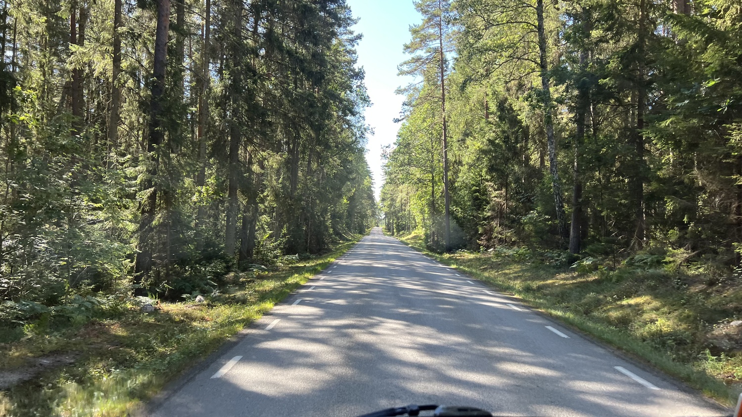 Wohnmobil in Schweden