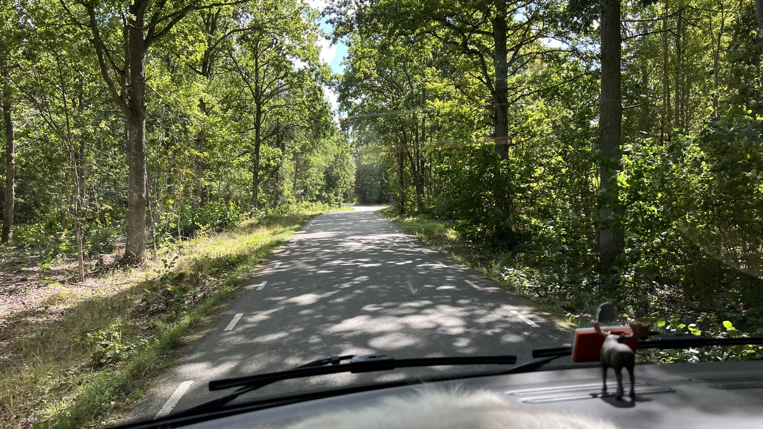 mit dem Wohnmobil in Schweden