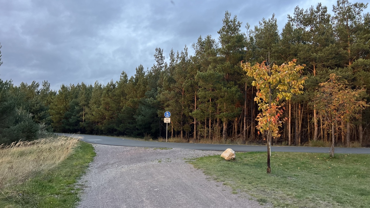 großer Goitzschesee