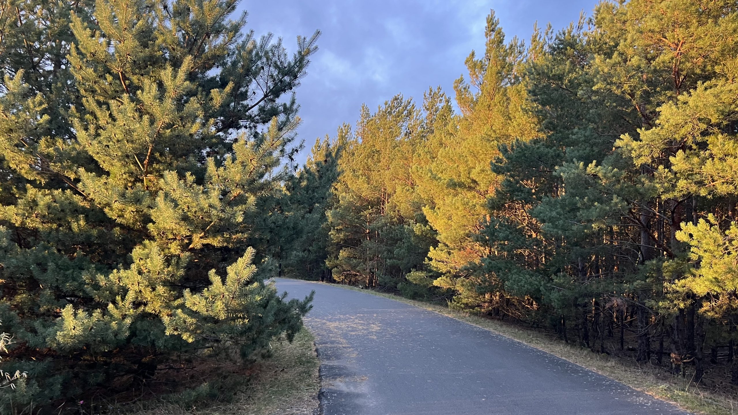 großer Goitzschesee
