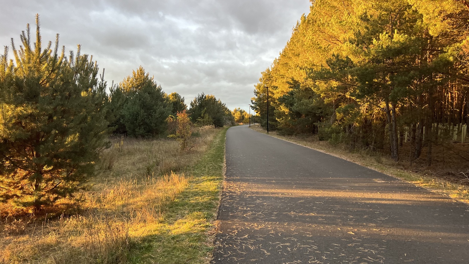 großer Goitzschesee