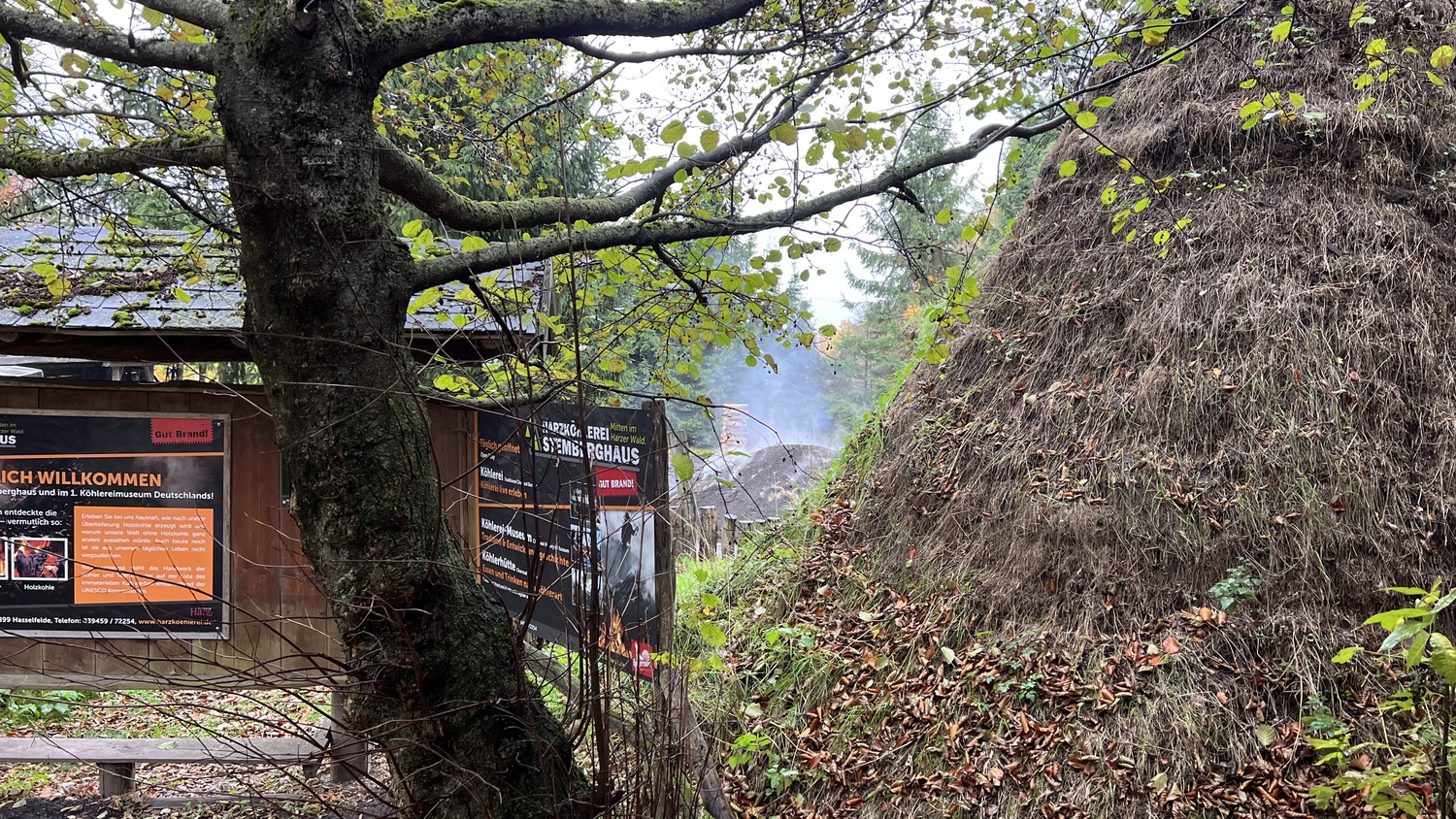 Harzköhlerei Stemberghaus