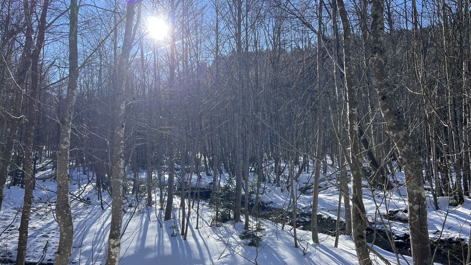 der Bolgenach im Winter