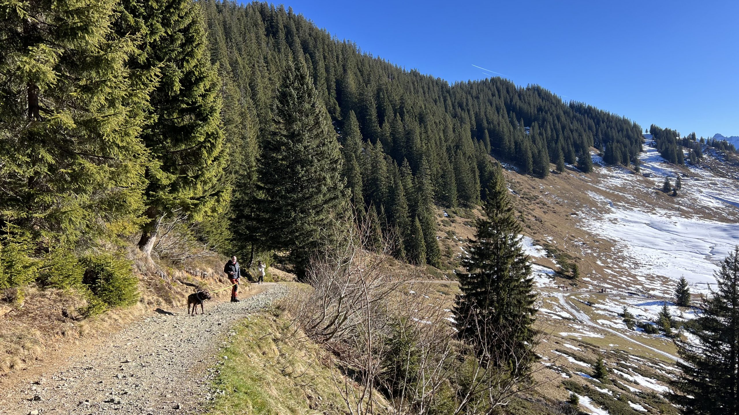 Aufstieg Riedberger Horn 