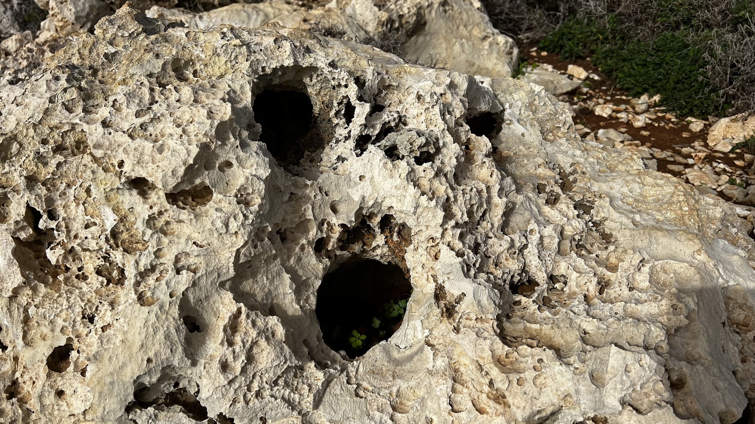 Zyperns schroffe Küste